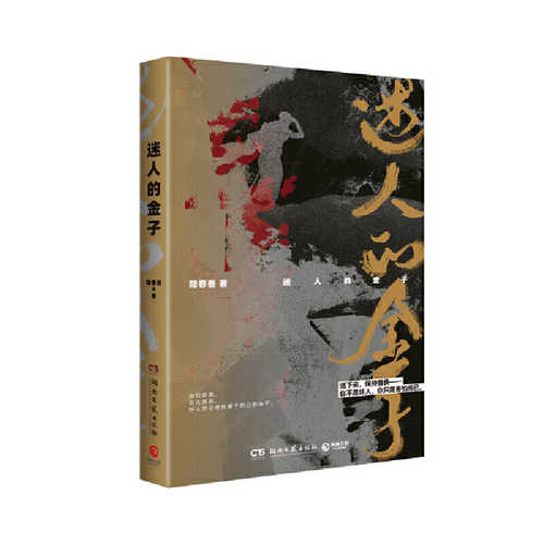 Mi ren de jin zi (Simplified Chinese )