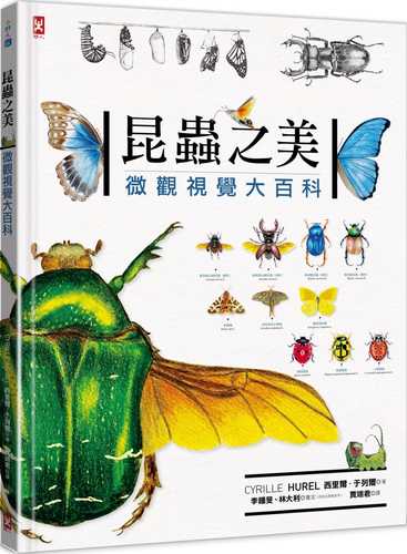 Insectes: Le grand livre du minuscule